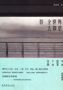 替全世界去仰望