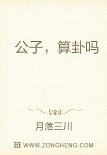 公子,算卦吗