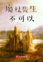 魔杖先生不可以在線閱讀