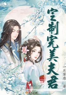 定制完美夫君