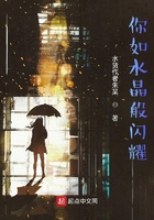 你如水晶般閃耀在線閱讀