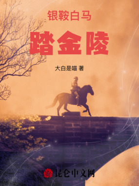 银鞍白马踏金陵在线阅读