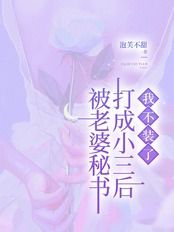 被老婆秘书打成小三后，我不装了在线阅读