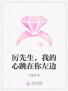 厉先生,我的心跳在你左边在线阅读