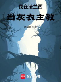 我在法蘭西當(dāng)灰衣主教