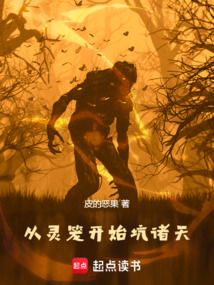 從靈籠開始坑諸天