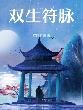双生符脉在线阅读