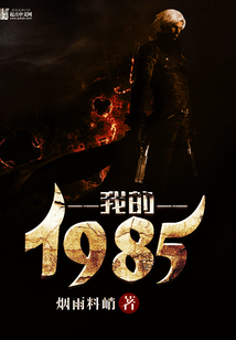 我的1985在线阅读