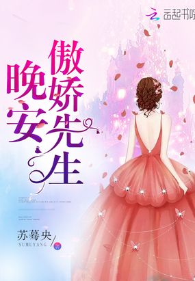 晚安,傲娇先生在线阅读