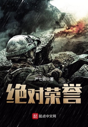 绝对荣誉在线阅读