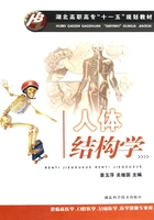 人体结构学:湖北高职“十一五”规划教材在线阅读