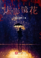 虚影镜花在线阅读