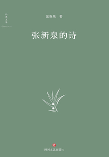 張新泉的詩(shī)