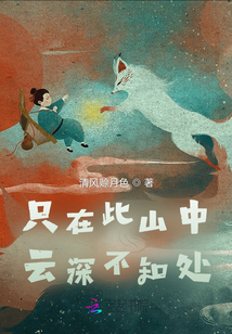 只在此山中，云深不知處