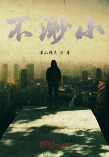 不渺小