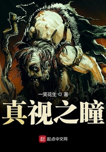真視之瞳