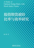 股指期货避险比率与效率研究