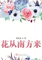 花从南方来在线阅读