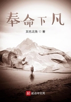 奉命下凡