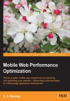 Mobile Web Performance Optimization在线阅读