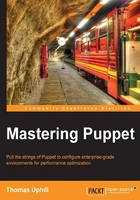Mastering Puppet在線閱讀