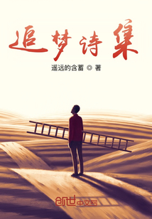 追夢詩集
