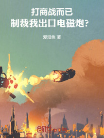 打商戰而已，制裁我出口電磁炮？