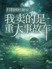 打假網紅硬說我賣的是重大事故車