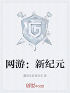 网游:新纪元在线阅读