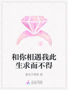和你相遇我此生求而不得在线阅读