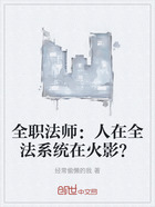 全职法师:人在全法系统在火影?在线阅读