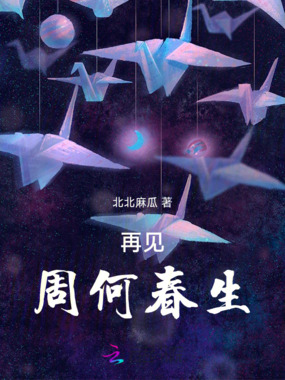 再见,周何春生在线阅读