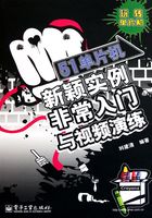 51单片机新颖实例非常入门与视频演练