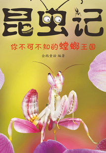 昆虫记：你不可不知的螳螂王国