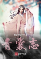 青囊志在線閱讀