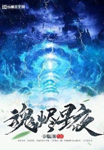 魂?duì)a星夜