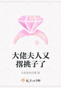 大佬夫人又撂挑子了