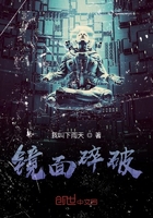 鏡面碎破在線閱讀