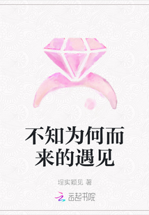 不知為何而來的遇見