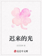 迟来的光在线阅读
