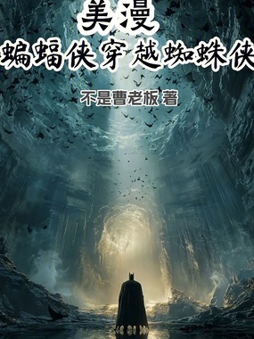 美漫：蝙蝠侠穿越蜘蛛侠在线阅读
