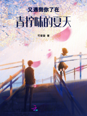 又遇到你了在青柠味的夏天在线阅读