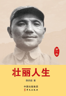 壮丽人生：第一卷