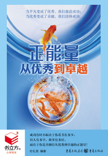 正能量:從優(yōu)秀到卓越(書立方·心享悅讀)