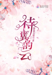 待翼的云