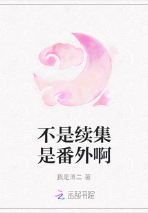 不是續集是番外啊