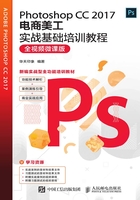 Photoshop CC 2017电商美工实战基础培训教程（全视频微课版）