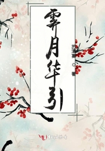 霽月華引