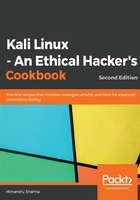 Kali Linux：An Ethical Hacker's Cookbook（Second Edition）在线阅读