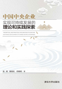 中国中央企业实现可持续发展的理论和实践探索